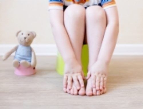 Potty Training 101: How to Get Your Toddler to Go, Like a Champ